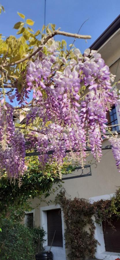 Residenza La Dimora Imperfetta Hotel Salionze Buitenkant foto